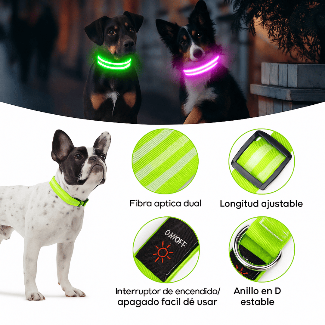 GlowPet™ collar LED recargable y visible hasta 300 m