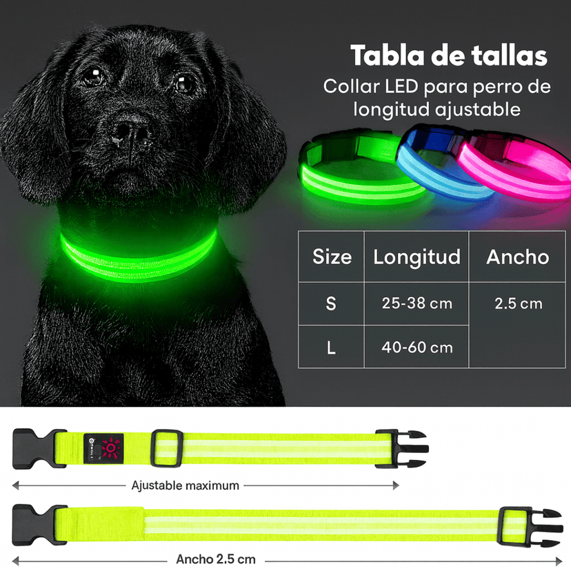 GlowPet™ collar LED recargable y visible hasta 300 m