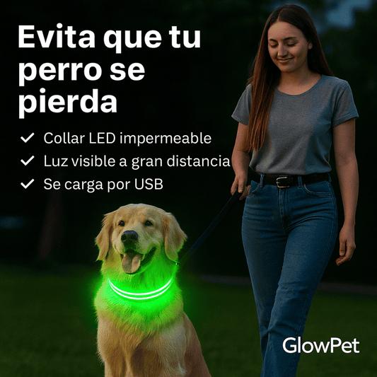 GlowPet™ collar LED recargable y visible hasta 300 m