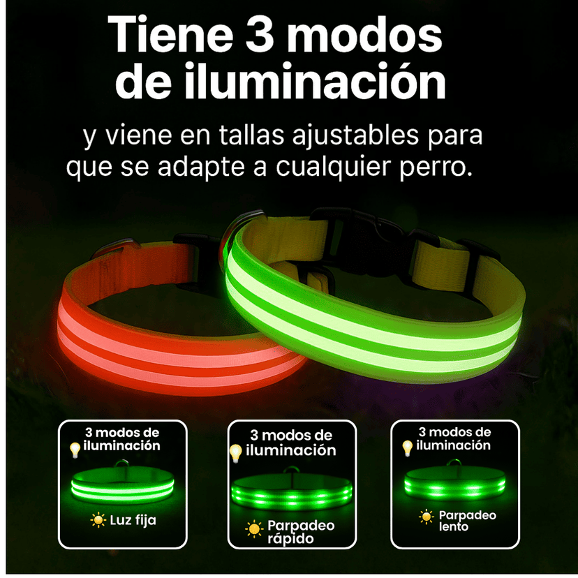 GlowPet™ collar LED recargable y visible hasta 300 m